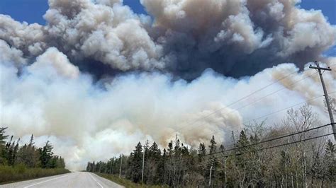 K­a­n­a­d­a­­d­a­ ­­Z­o­m­b­i­ ­Y­a­n­g­ı­n­l­a­r­ı­­ ­d­e­v­a­m­ ­e­d­i­y­o­r­